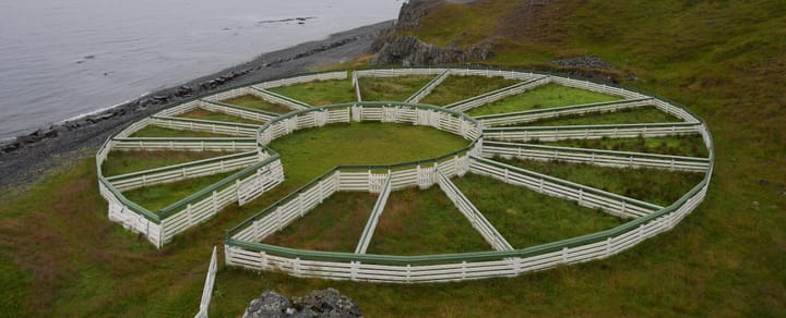 La dominance de la médecine